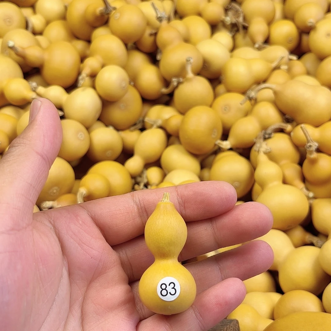 五葫芦葫芦葫芦葫芦83