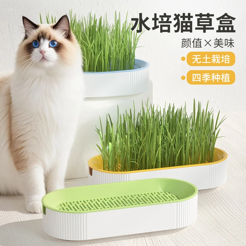 新款猫咪零食小麦种子无土水培猫草种植即食去毛球助消化宠物食品