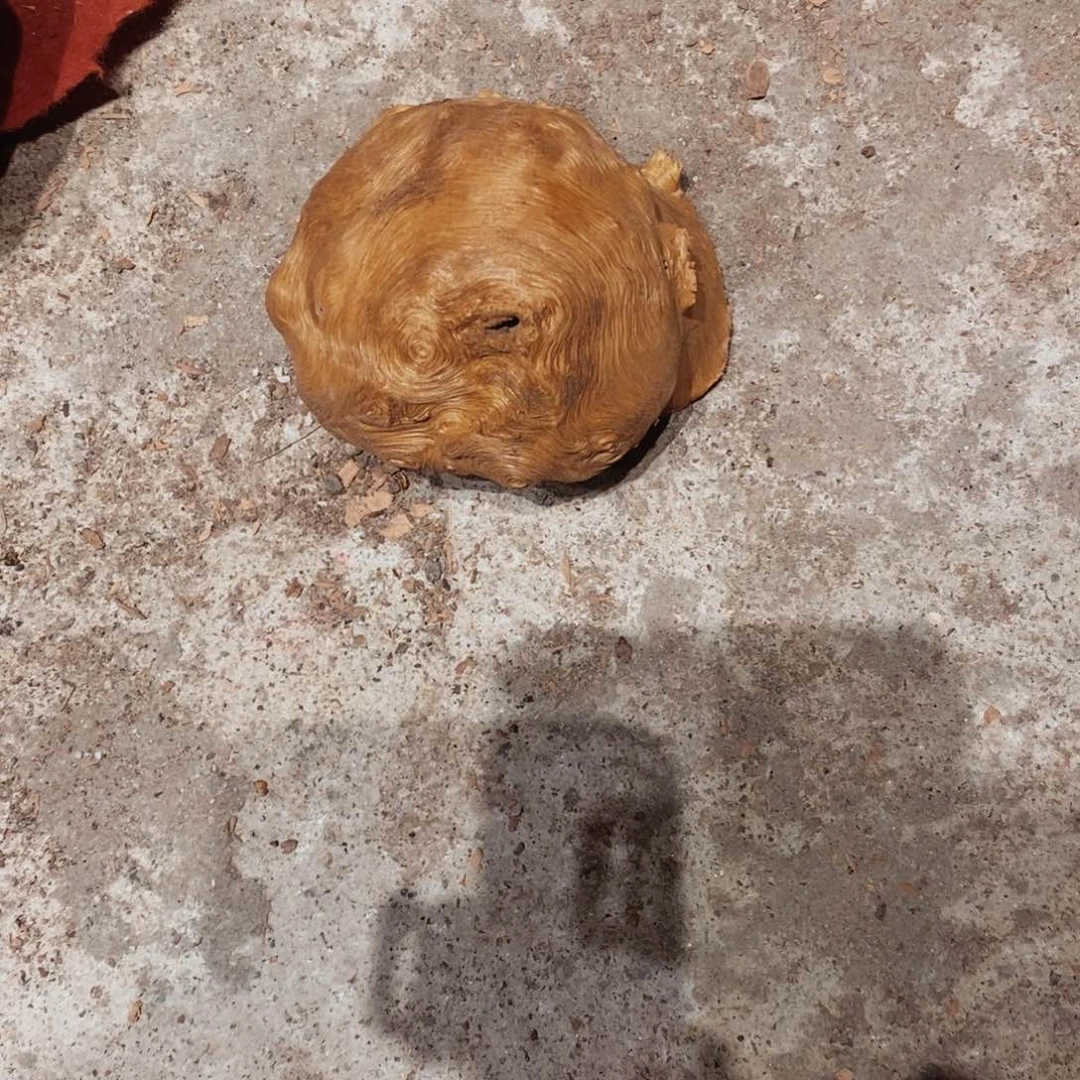 达***风荔枝木随形香炉木材