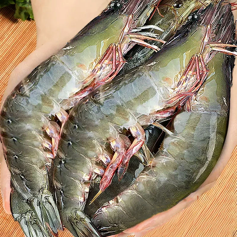 聚海隆【3斤*一盒】2030规格新鲜速冻特大海虾 单只冻 只只分离