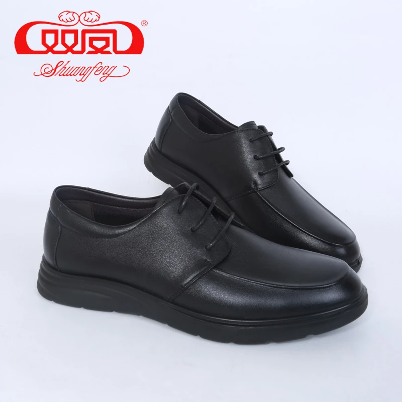 双凤春季新款英伦风商务休闲时尚男士皮鞋71A-5009