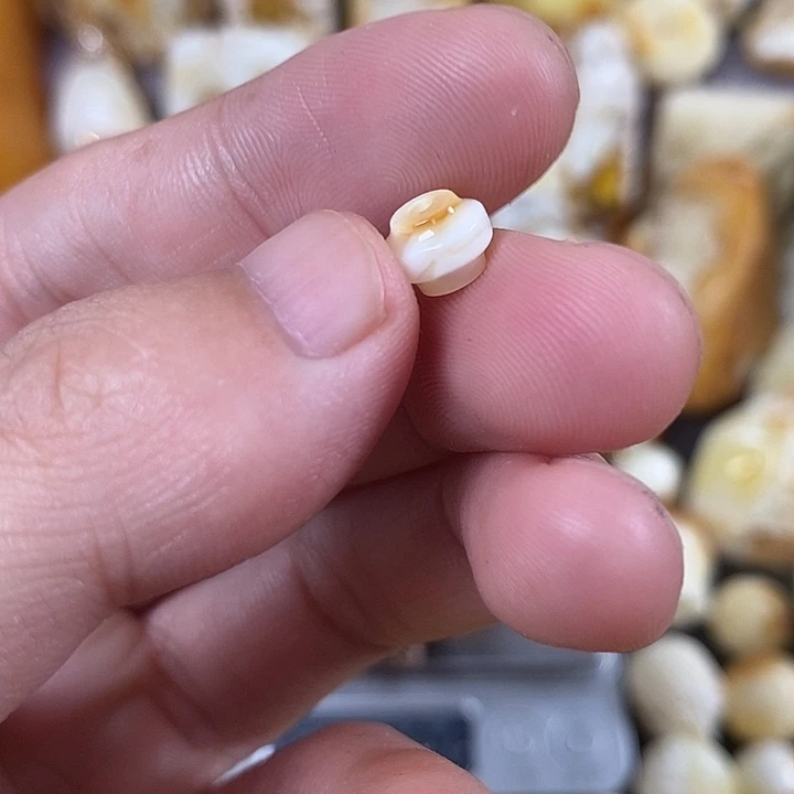 未镶嵌琥珀裸石我