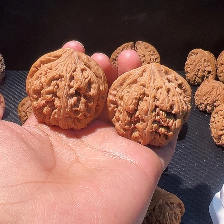 核桃全品无修45大粗筋