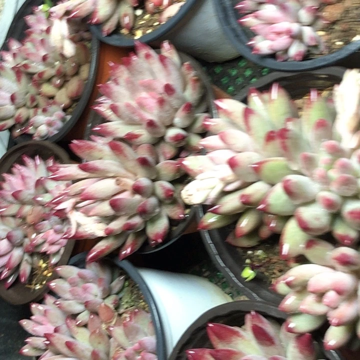 1/////////////////////