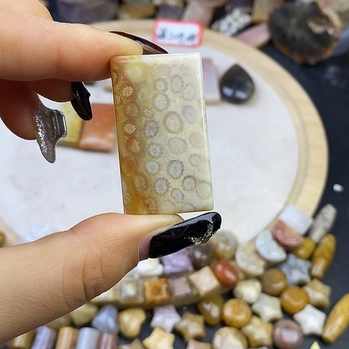 针钠钙石（海纹石）未镶嵌颈饰4