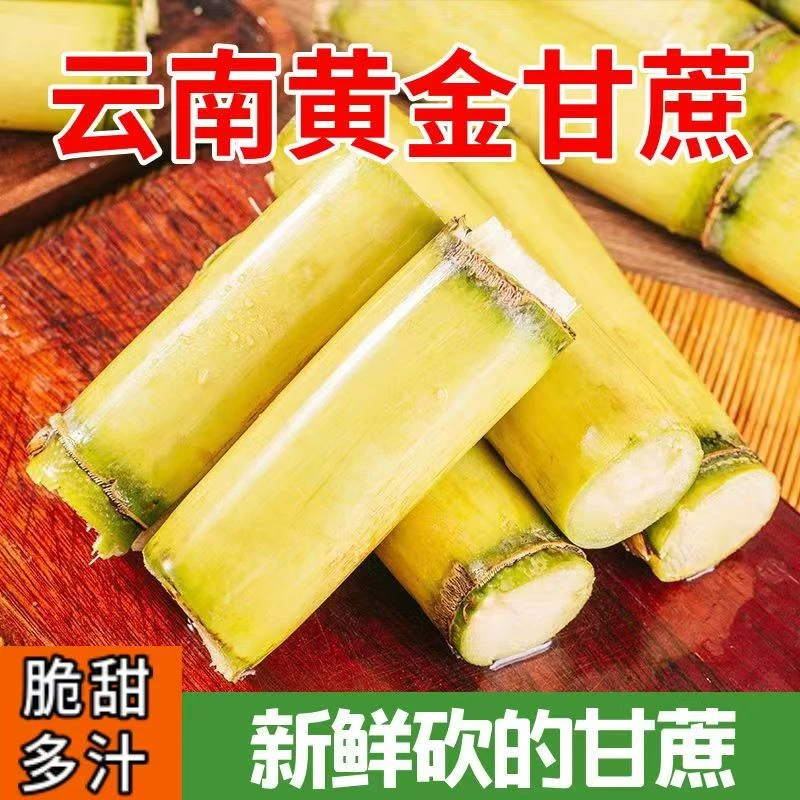云南新鲜黄金甘蔗现砍现发脆甜多汁当季水果云南新鲜产地直发