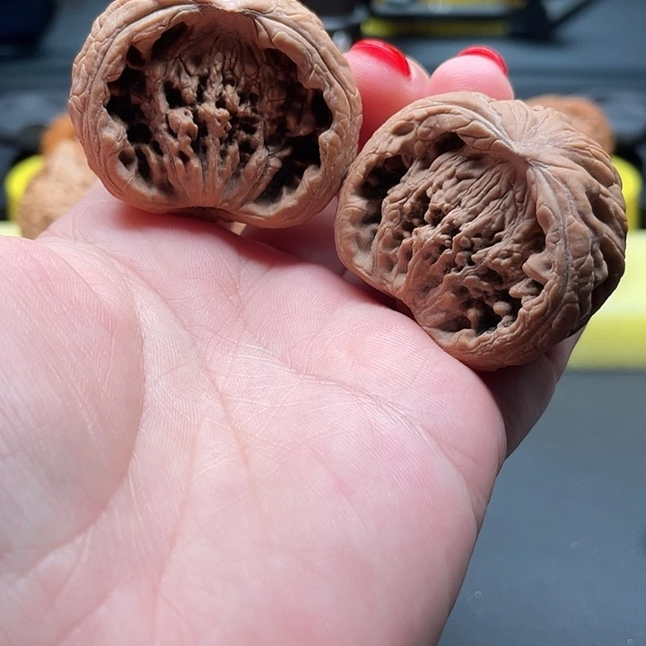 全品无修聚宝盆40