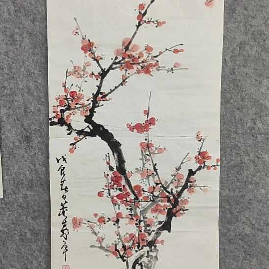 国画董老师国画作品软片