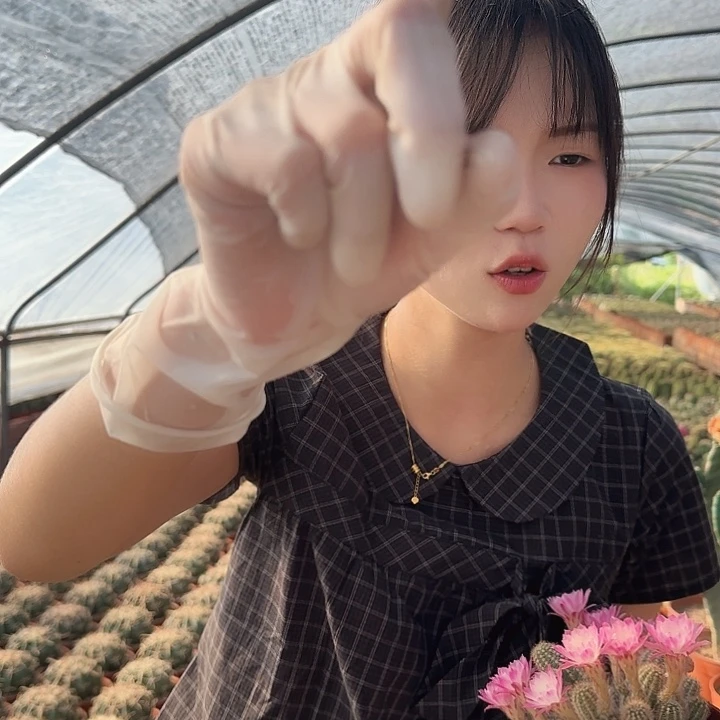 特鲁迪（掉头掉崽不售后）