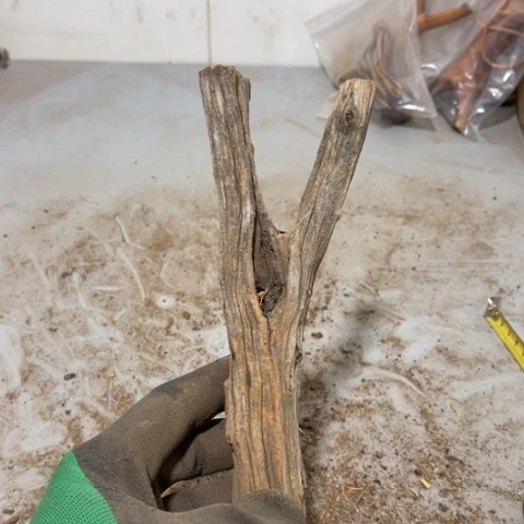 大果紫檀（缅甸花梨）浮***@