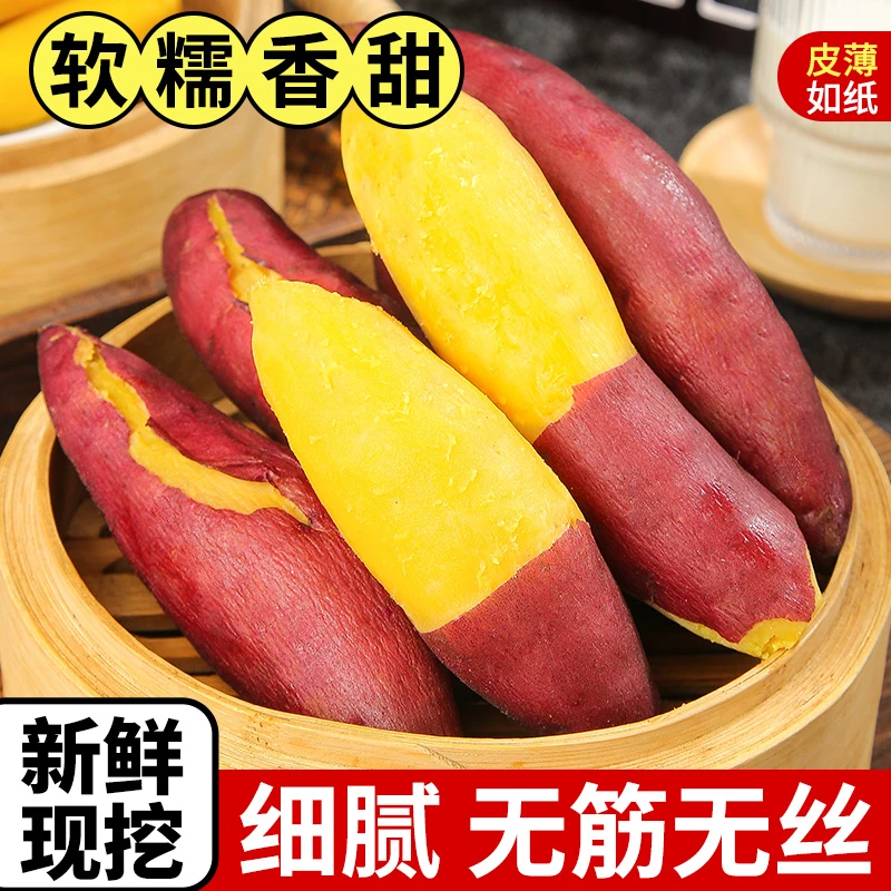 【蒸煮】临安天目山小香薯新鲜现挖软糯香甜健康粗粮适合蒸煮