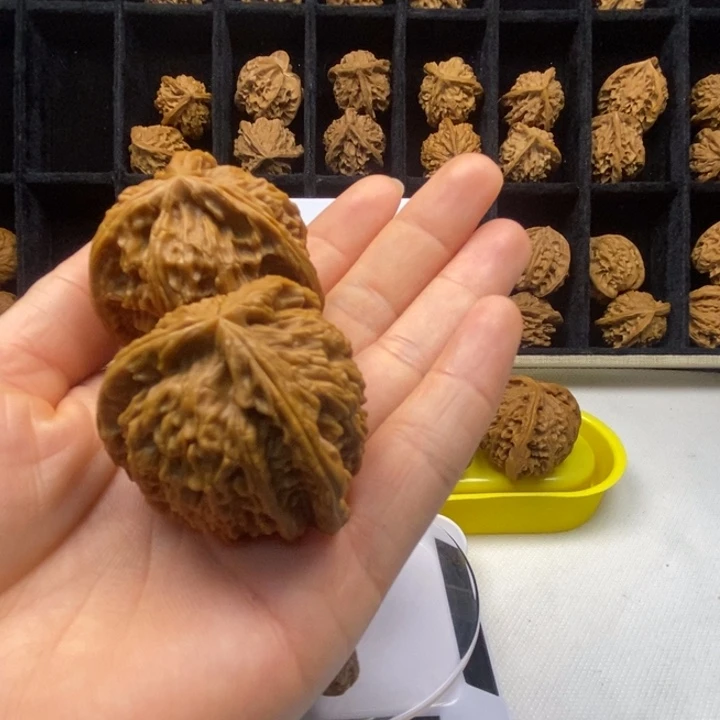 吕***雨无花朵爆单爆单爆单