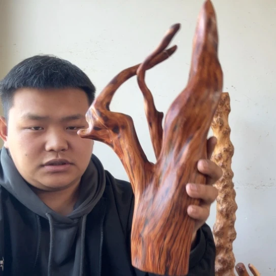 韩***香榧木太行崖柏摆件上车