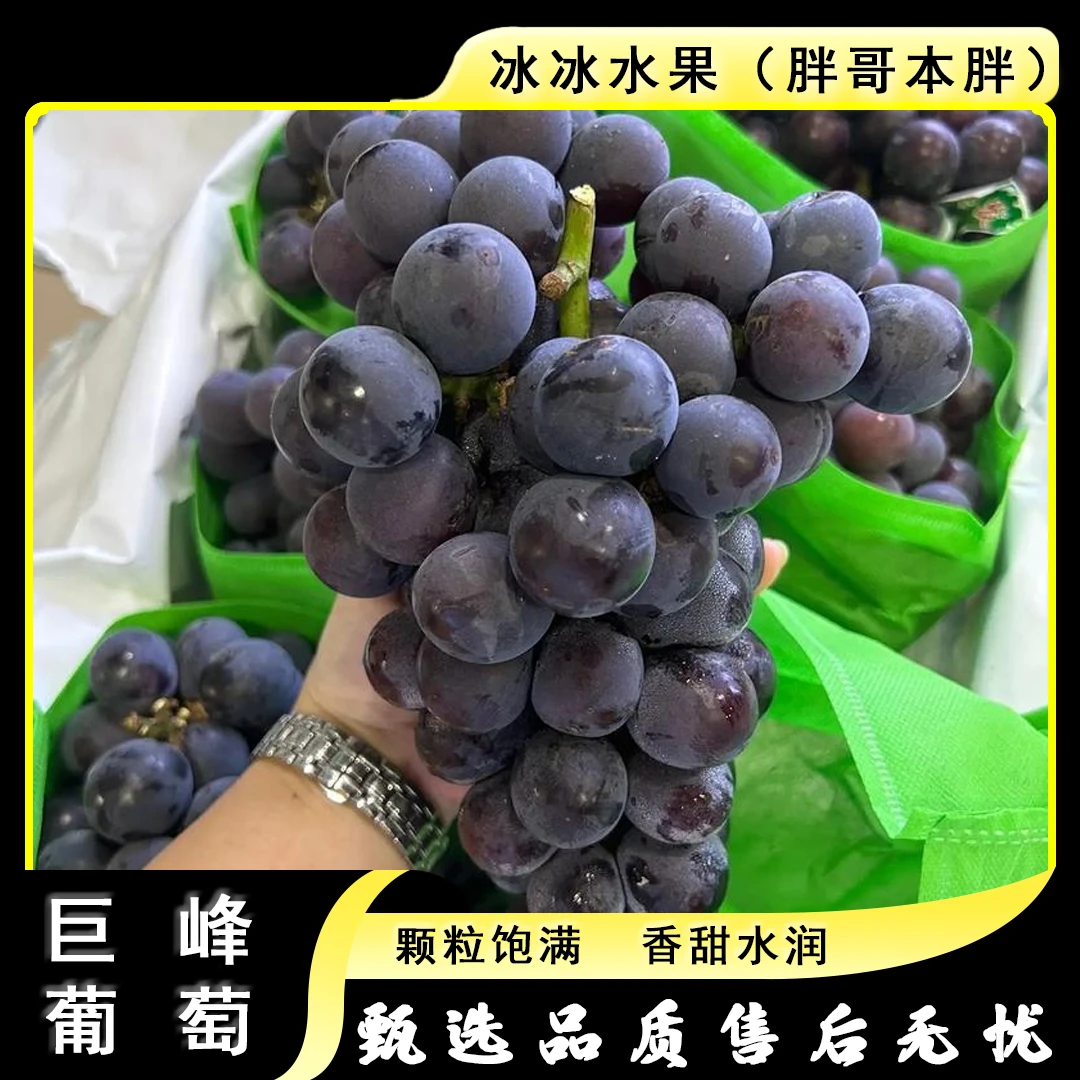 【散装】[Z]巨峰葡萄 份/净重3斤左右 仅限太原晋中吕梁忻州可拍