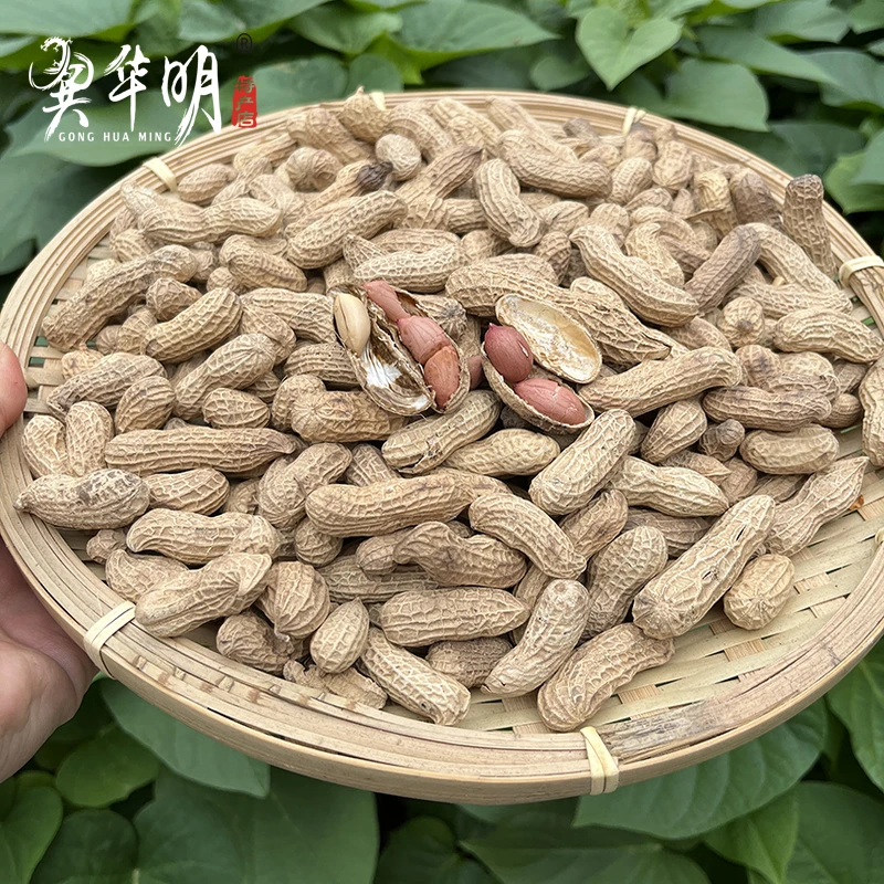 熟花生1斤 农家原味炒花生都昌特产 带壳干花生新货原味农家自种