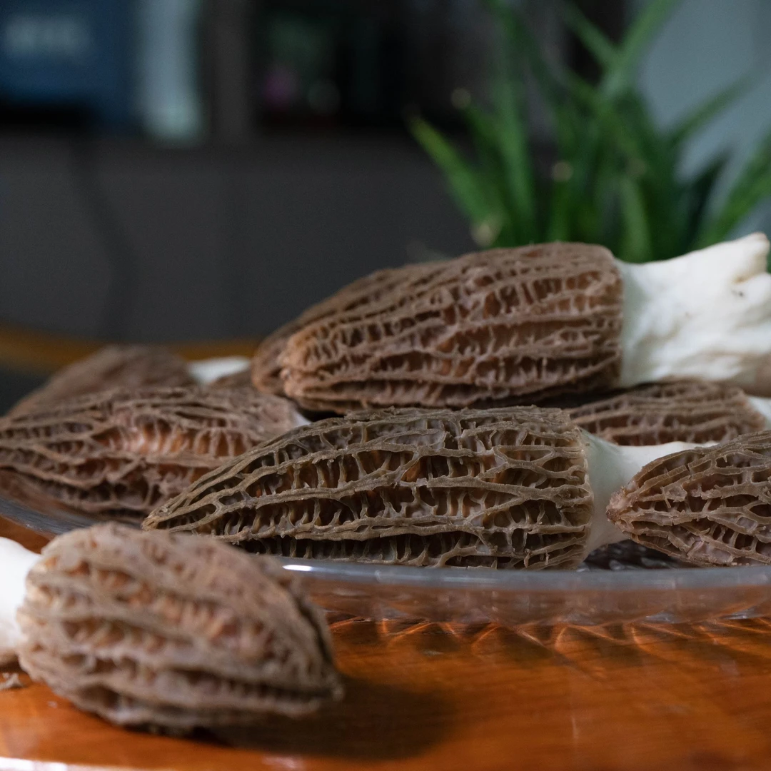 【四方菇娘】新鲜好吃羊肚菌产自贵州高海拔无污染富含锌硒元素土壤