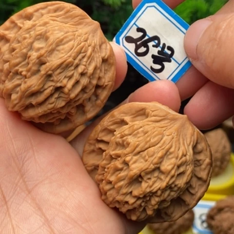 文玩核桃吊坠麦虎43