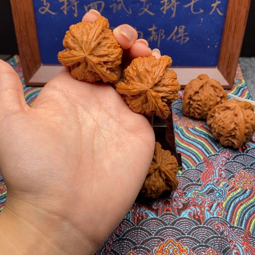 【闪购商品】冰****）白狮子1111111