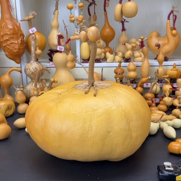 扇子?166666666888888888