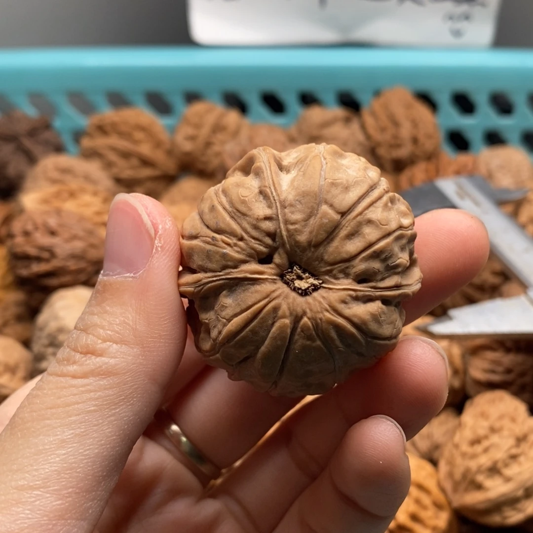 飞***觉核桃定制商品不退不换