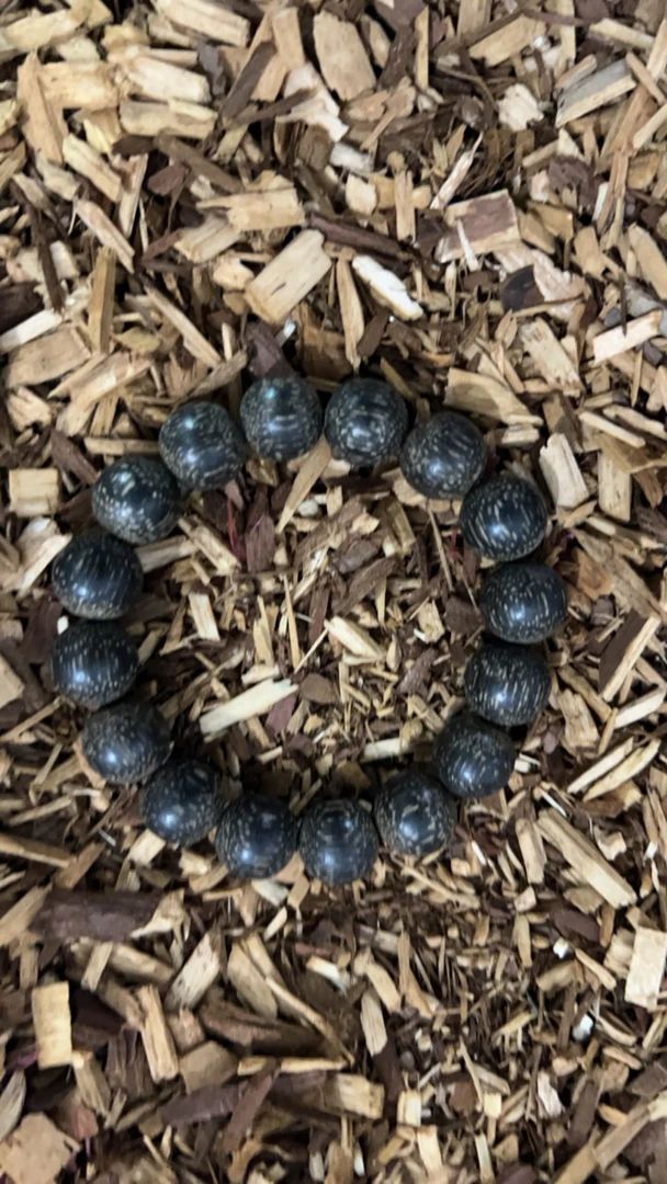 沉香137 福莱精选高端文玩14mm