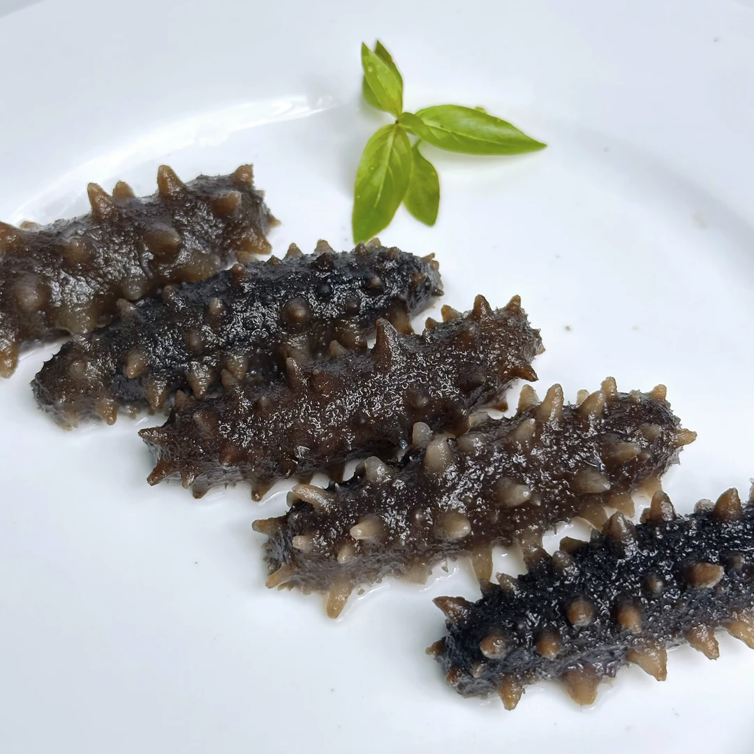 大连即食海刺参开袋即食免泡发口感Q弹500g/袋