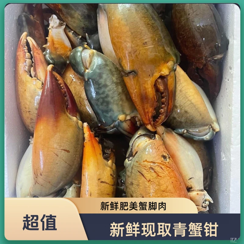 新鲜青蟹腿特大蟹钳鳌大肉多海鲜水产活蟹青蟹脚野生现掰蟹脚钳