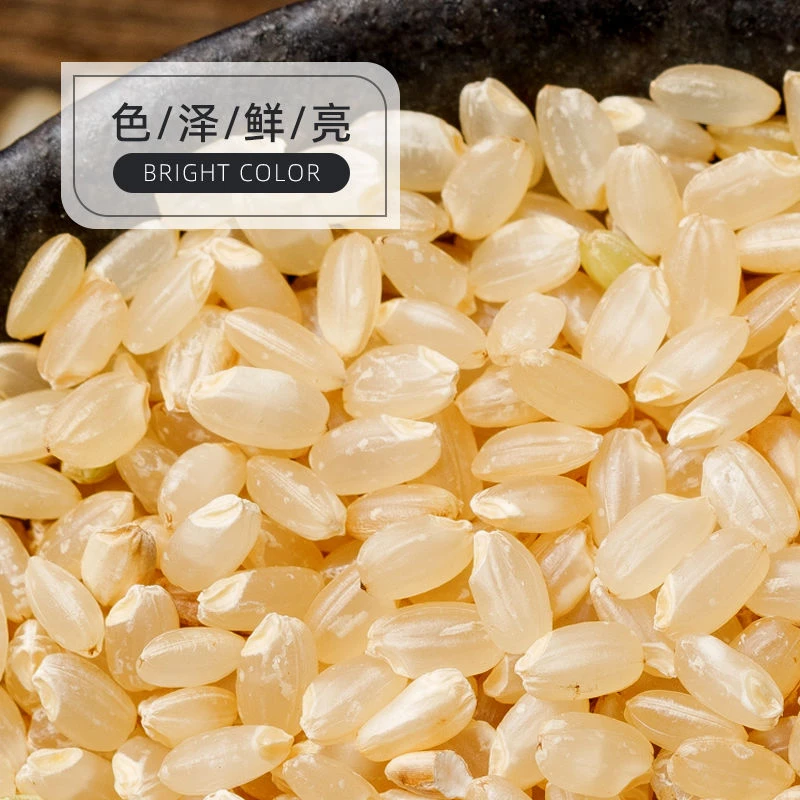 东北新糙米健身玄米农家粗粮胚芽米脂减粗粮饱腹代餐饭批发