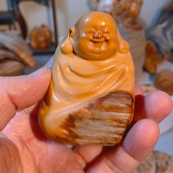 柏木（崖柏）太行大峡谷崖柏