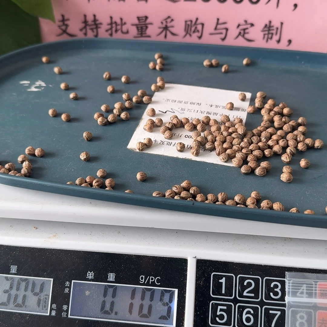 吊坠柏香籽/百香籽30克6.25+MY01