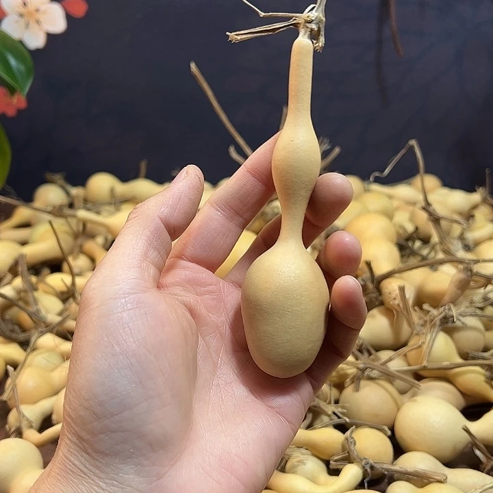 随***611111111111111111