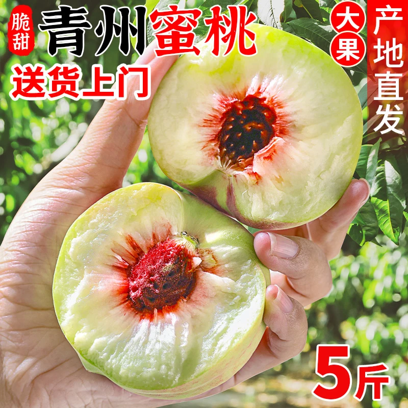 【送货上门】正宗青州蜜桃脆甜桃子新鲜水果当季现摘整箱山东冬桃