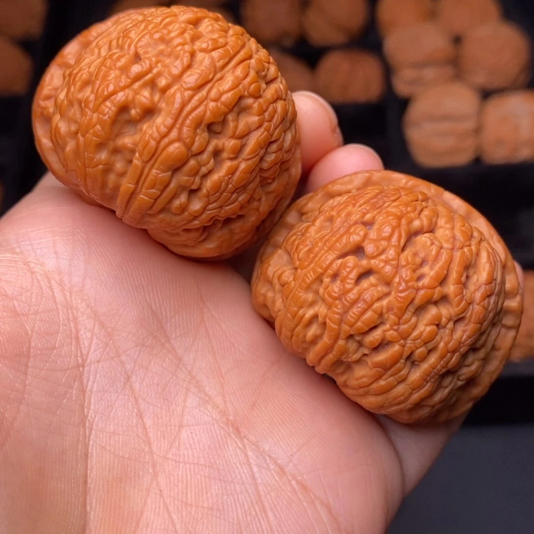 秦岭野生文玩核桃