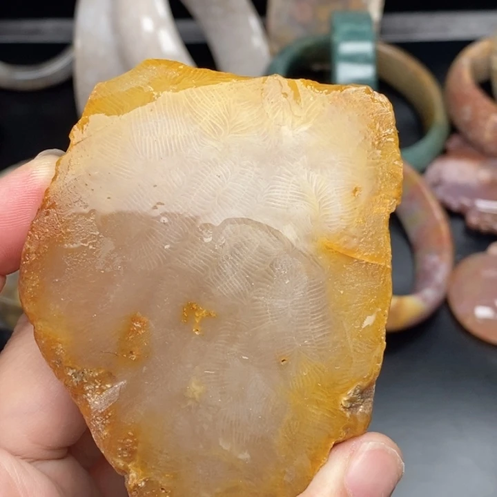 硅化玉未镶嵌颈饰