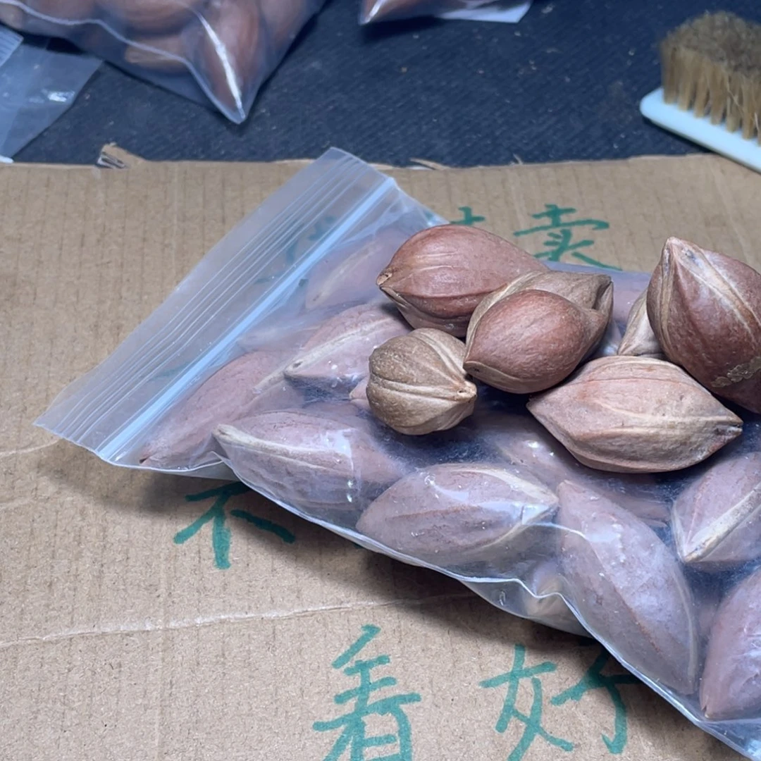 鸿**飞不退不换w er tui