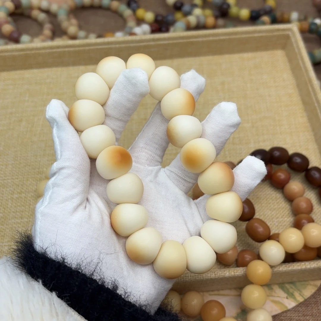 吊坠菩提根/象牙果20干磨瑕疵落地果肠000