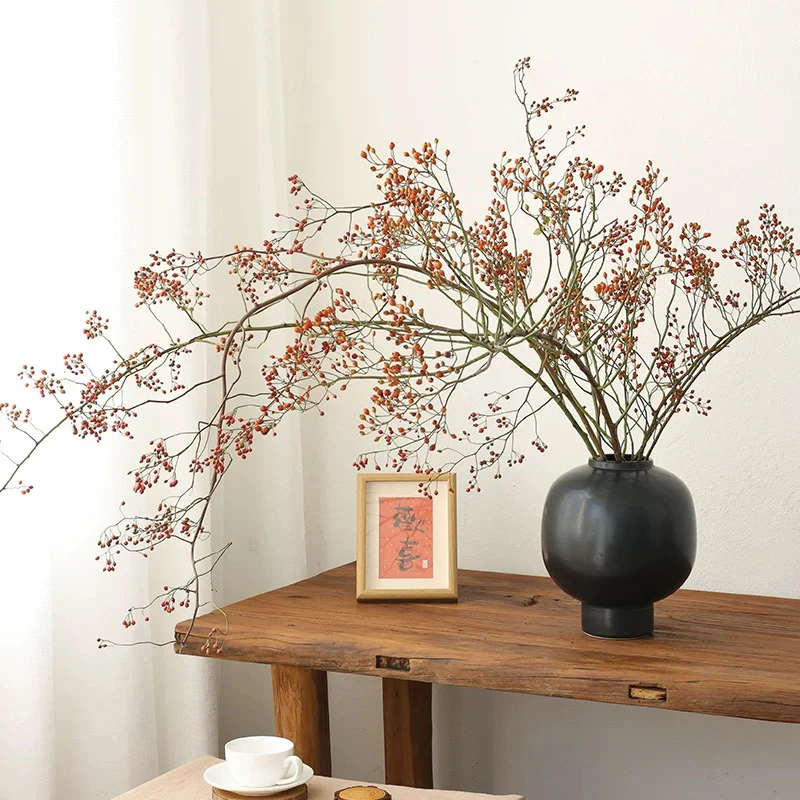 【精品】山归来鲜切枝蔷薇果干花水培植物水养插花花卉植物室内