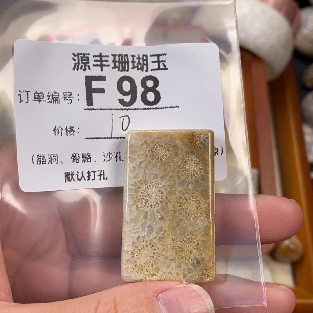 硅化玉颈饰未镶嵌1*o