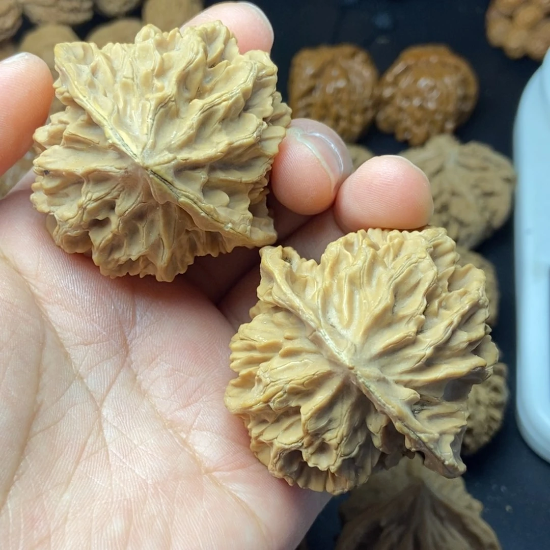 人****?秦岭核桃帝王大花26号链接262626