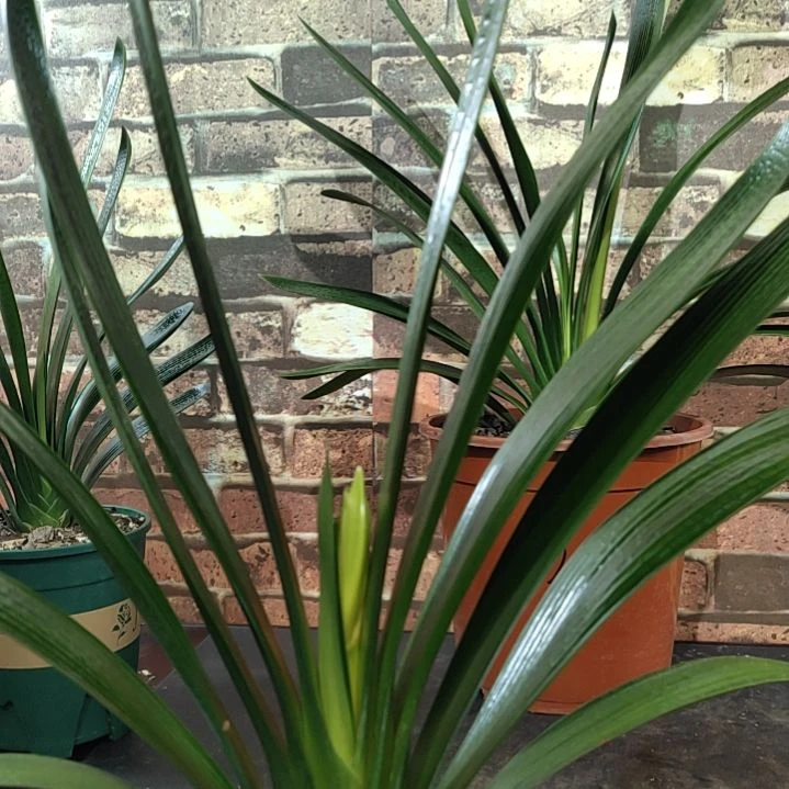 完全开放11111111111