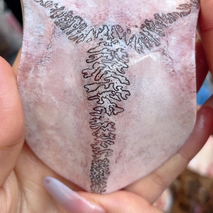 养殖鹿骨三界牌子