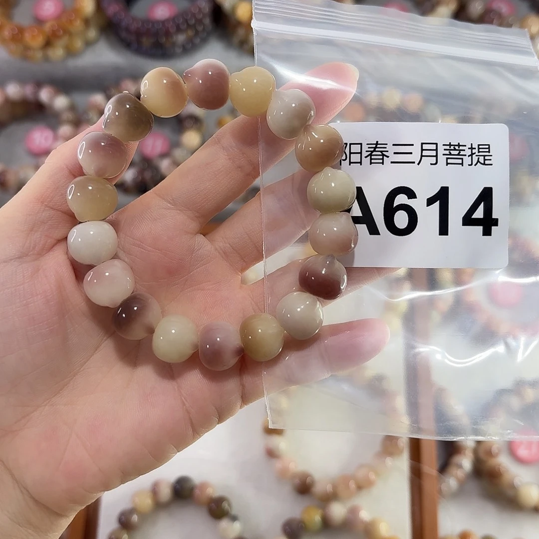 吊坠菩提根/象牙果
