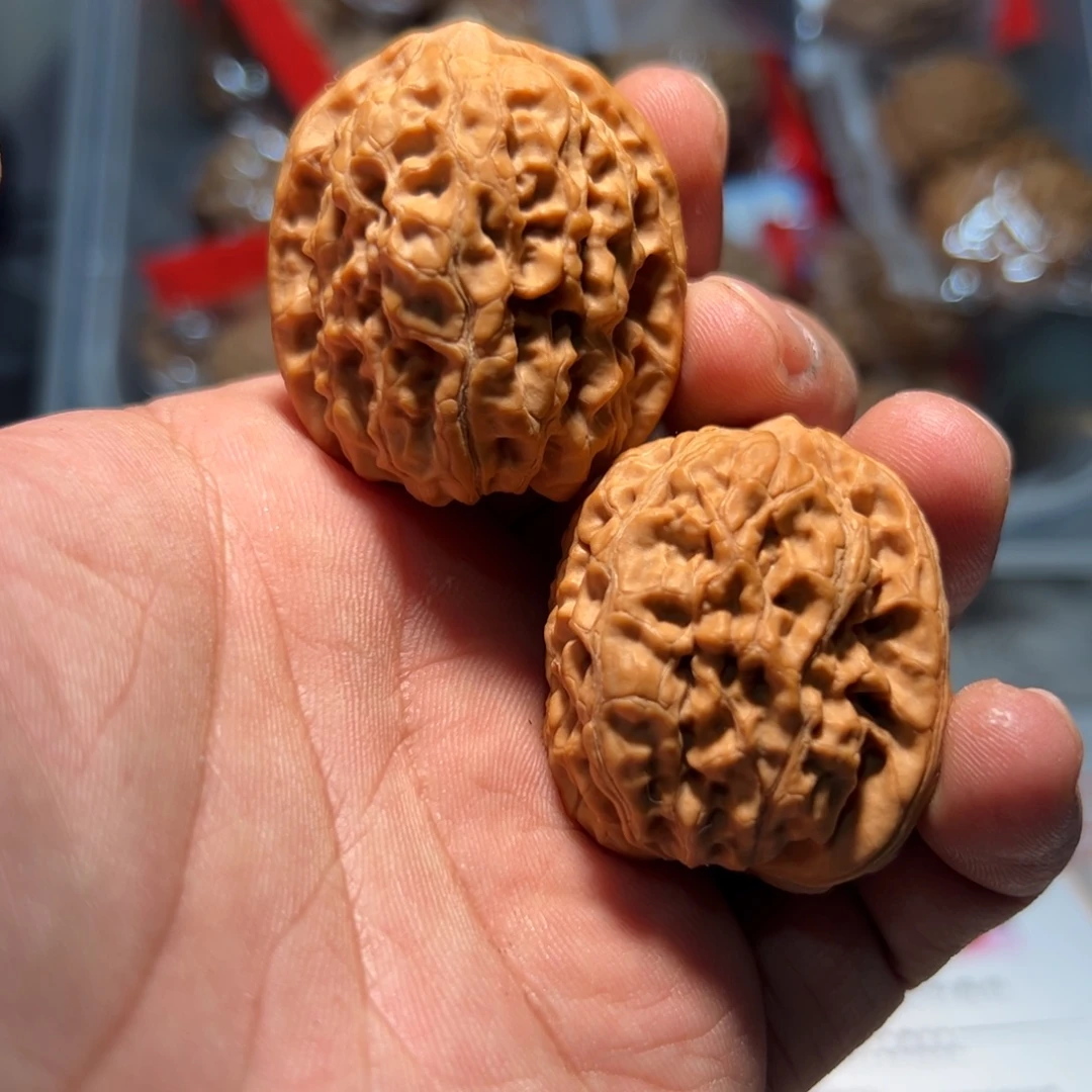 文玩核桃，原树霸王