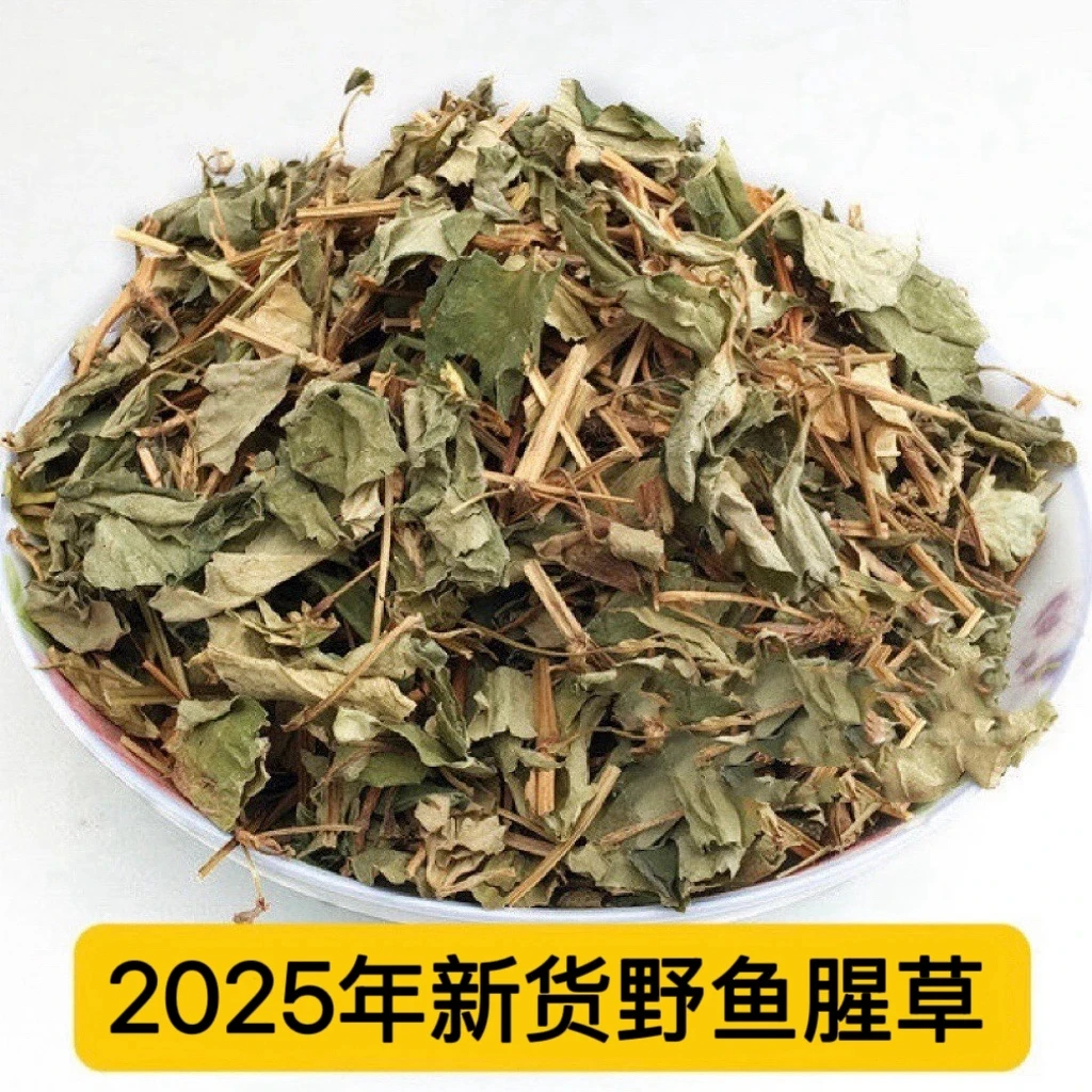 大山里新鲜野鱼腥草折耳根250g新货500g鱼腥草干货泡茶