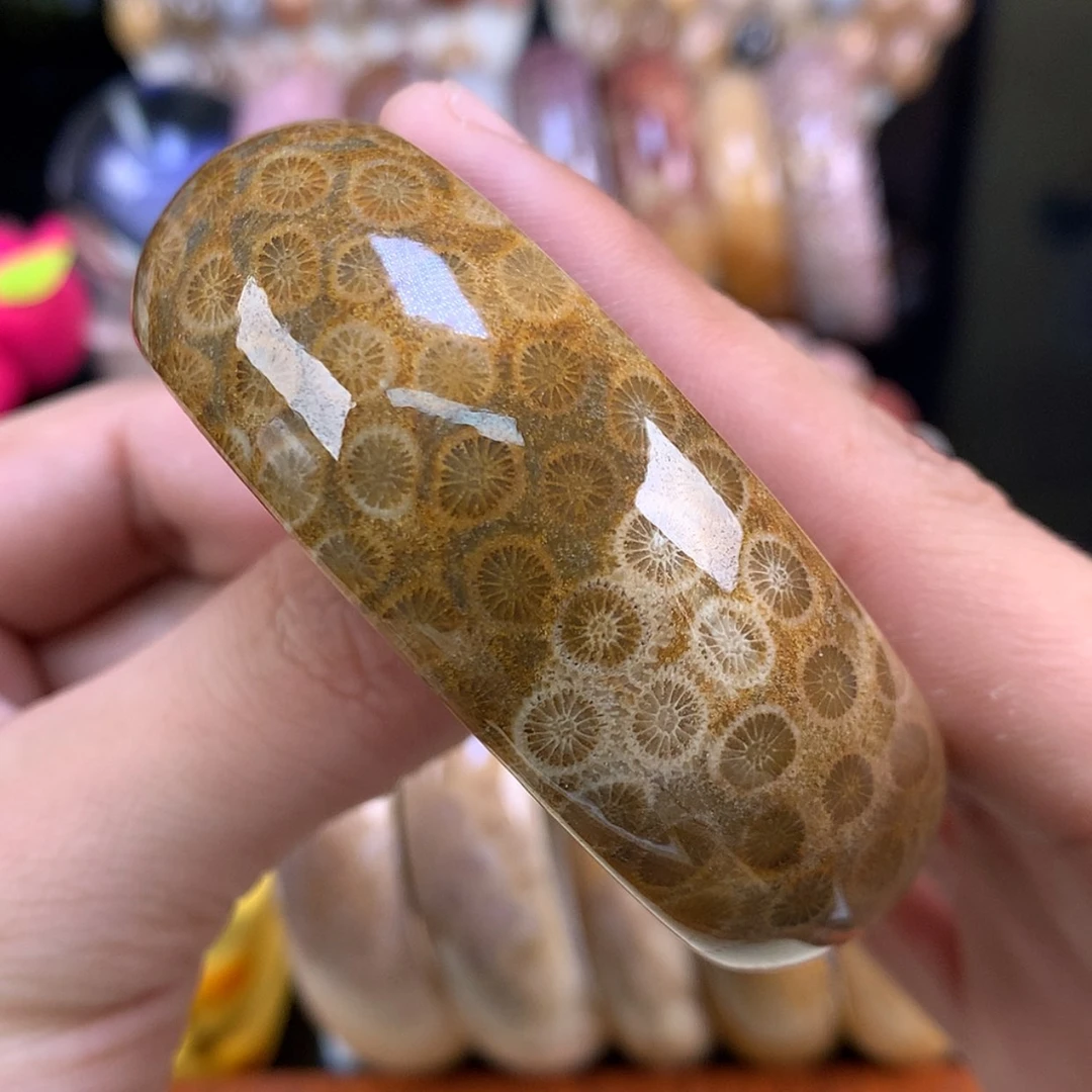 【闪购商品】颈饰未镶嵌硅化珊瑚（珊瑚玉）35号56.6圈皮花➕柠檬