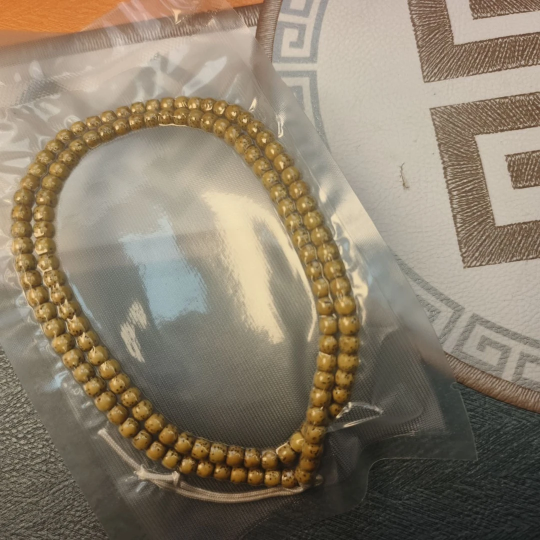 黄金版星月河豚尺寸6