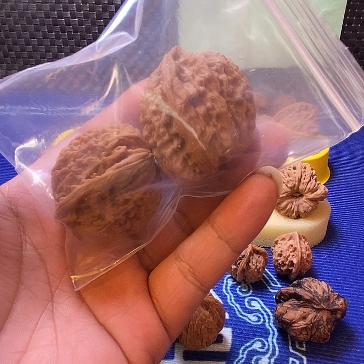 37小飞机南疆异性