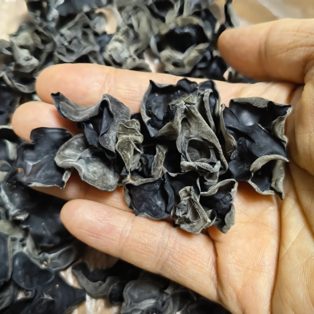 黑木耳大兴安岭本地