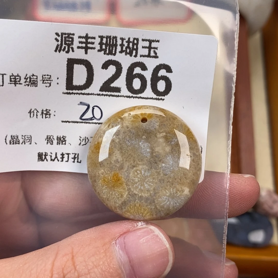 硅化玉颈饰未镶嵌