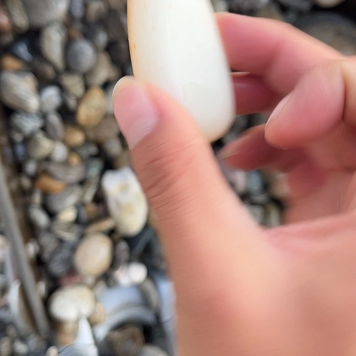未镶嵌和田玉（糖玉）珠宝奇石